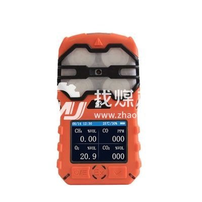 便攜式多參數(shù)測定器.jpg